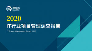 2020年IT行业项目管理调查报告