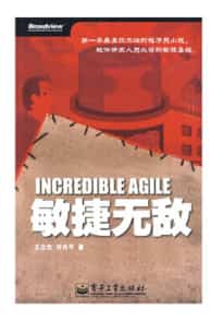敏捷无敌 最具技术性的程序员小说:《敏捷无敌》