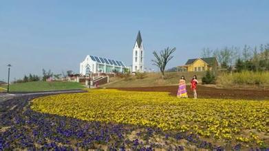 藏马山四季花海