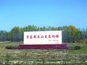 藏马山森林公园