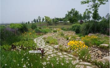 藏马山植物园
