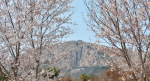 藏马山双人门票住宿套餐3