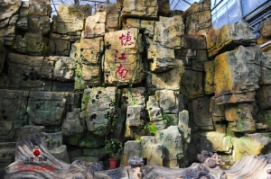 b86386c1981a2a5bcaf6c7eb5276225b 藏马山蓝莓小镇