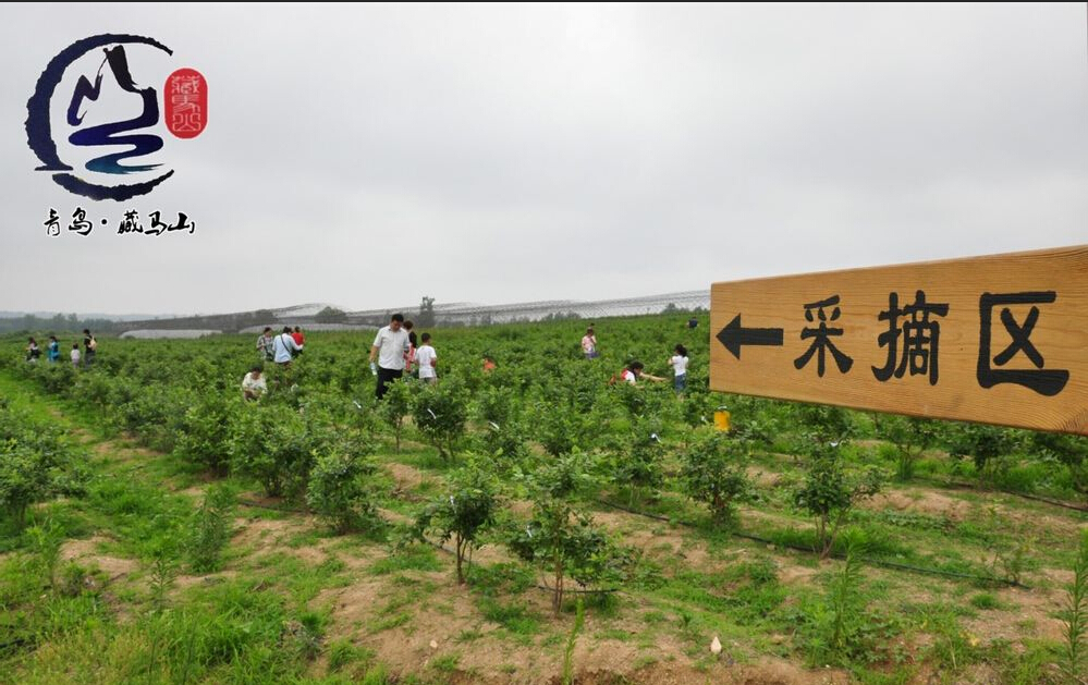 藏马山生态观光园