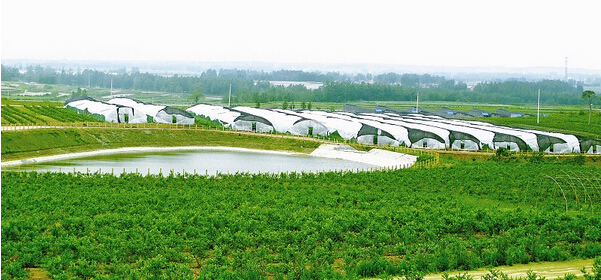 藏马山生态观光园