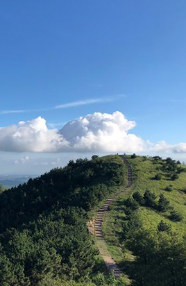 藏马山芍药园