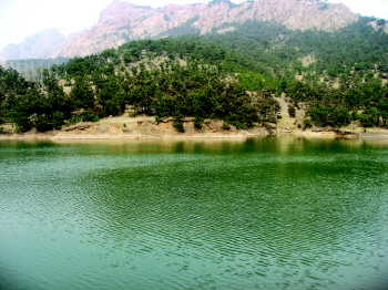 c01_9774db9b-892b-42c8-9ba3-e99fe9d8abe2_0 藏马山森林公园