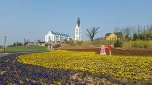 藏马山四季花海