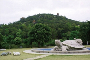 南澳黄花山森林公园
