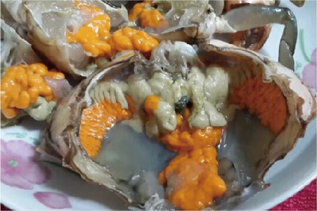 特产-19 潮汕膏蟹