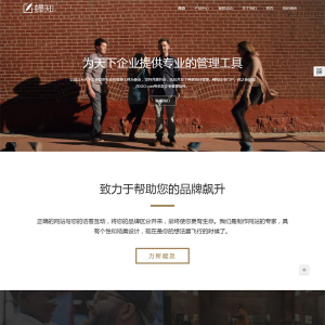 大气视频背景设计公司网站