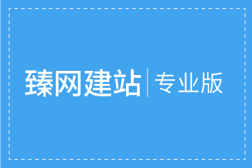 臻网建站专业版一年使用权