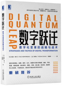 yueqian 数字跃迁:数字化变革的战略与战术