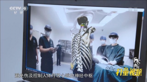  数字化世界实施虚拟手术|手术两百年