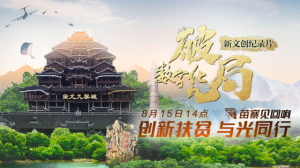 《数字化破局》系列（二）：苗寨见回响 与光同行创新扶贫