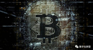 shuzihua-blockchain-14