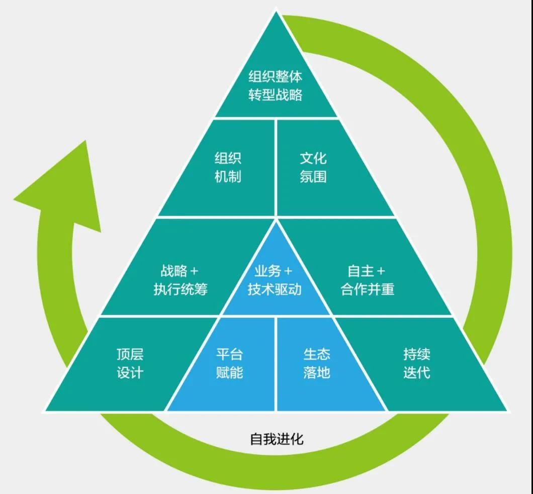 行业数字化转型行动纲领