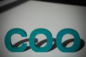 shuzihua-area-coo