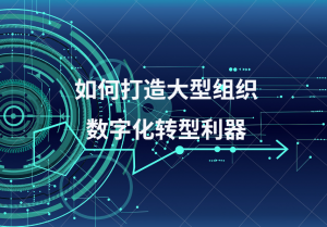 shuzihua-如何打造大型组织数字化转型利器