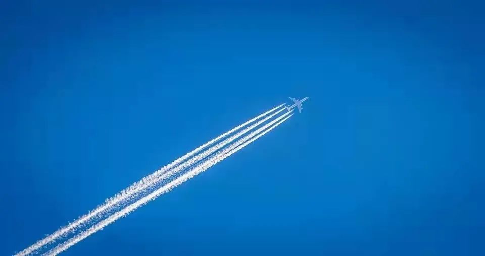 shuzihua-trends shuzihua-trends