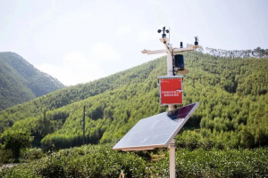 digitizing- agriculture