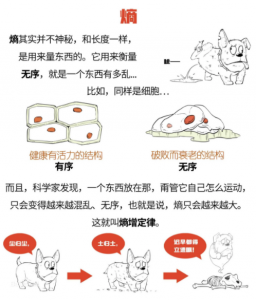 shuzihua-law-increasing-entropy