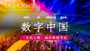 解码数字中国：数字化转型，究竟转了什么？