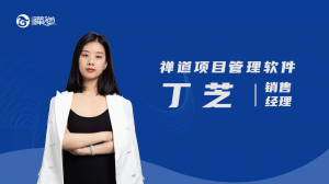 丁芝 禅道项目管理软件 | 丁芝
