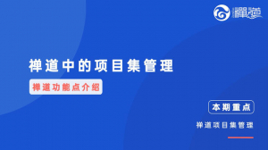 01 01 禅道的项目集管理