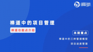 03 03 禅道的项目管理