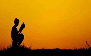 如何使用这条命，万项计划与六边形战士