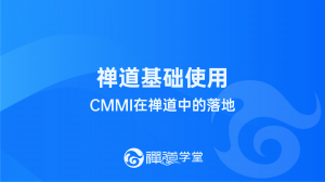 12 CMMI在禅道中的落地