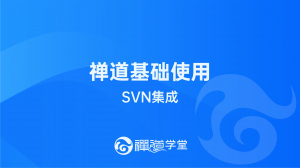 25 SVN集成