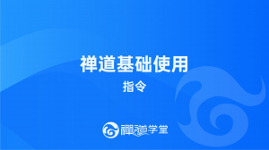 27 指令