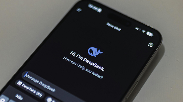 DeepSeek