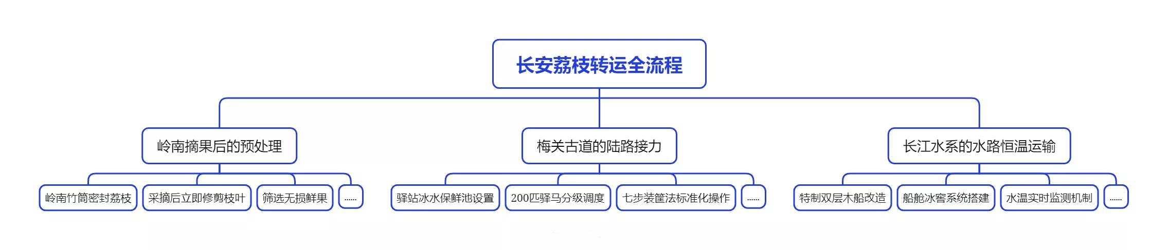 lychee-entire-process