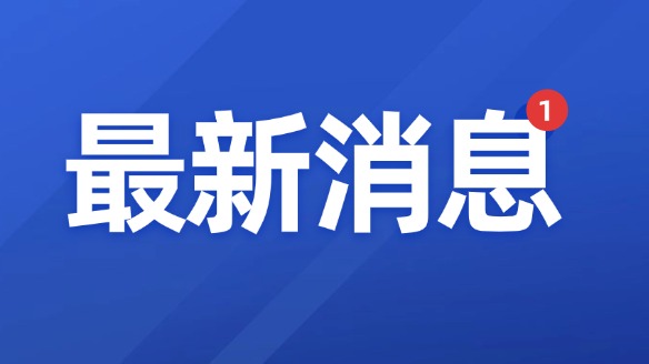 拖垮公司的真正元凶：低质量决策