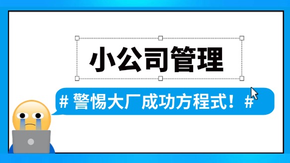 小公司管理：警惕大厂的“成功方程式”​