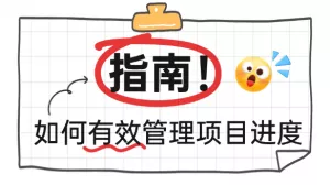 从事项目管理的人是如何有效管理项目进度的？