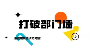 破局部门墙，打赢市场仗：IPD重度矩阵组织架构